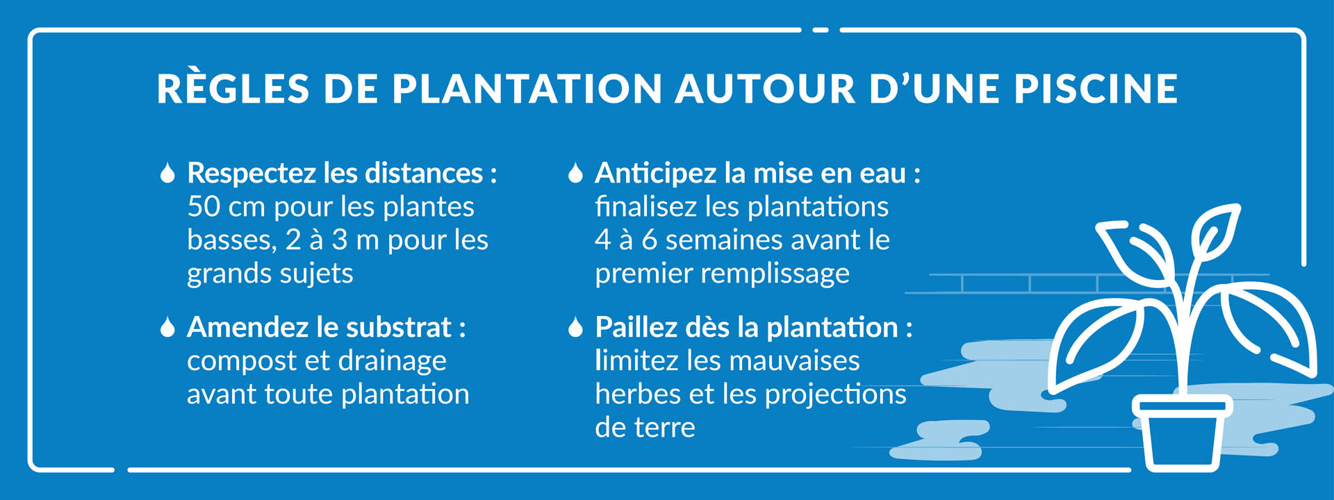 règles de plantation des plantes autour d’une piscine